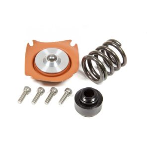 AEROMOTIVE Regulator Rebuild Kit - 13305 35-75psi .313 Seat- 13015