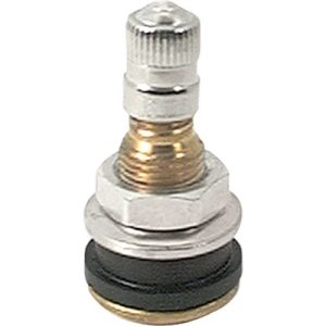 ALLSTAR PERFORMANCE Brass Valve Stem Bolt-In- ALL44134
