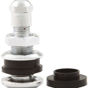 ALLSTAR PERFORMANCE Chrome Valve Stem Bolt-In- ALL44135