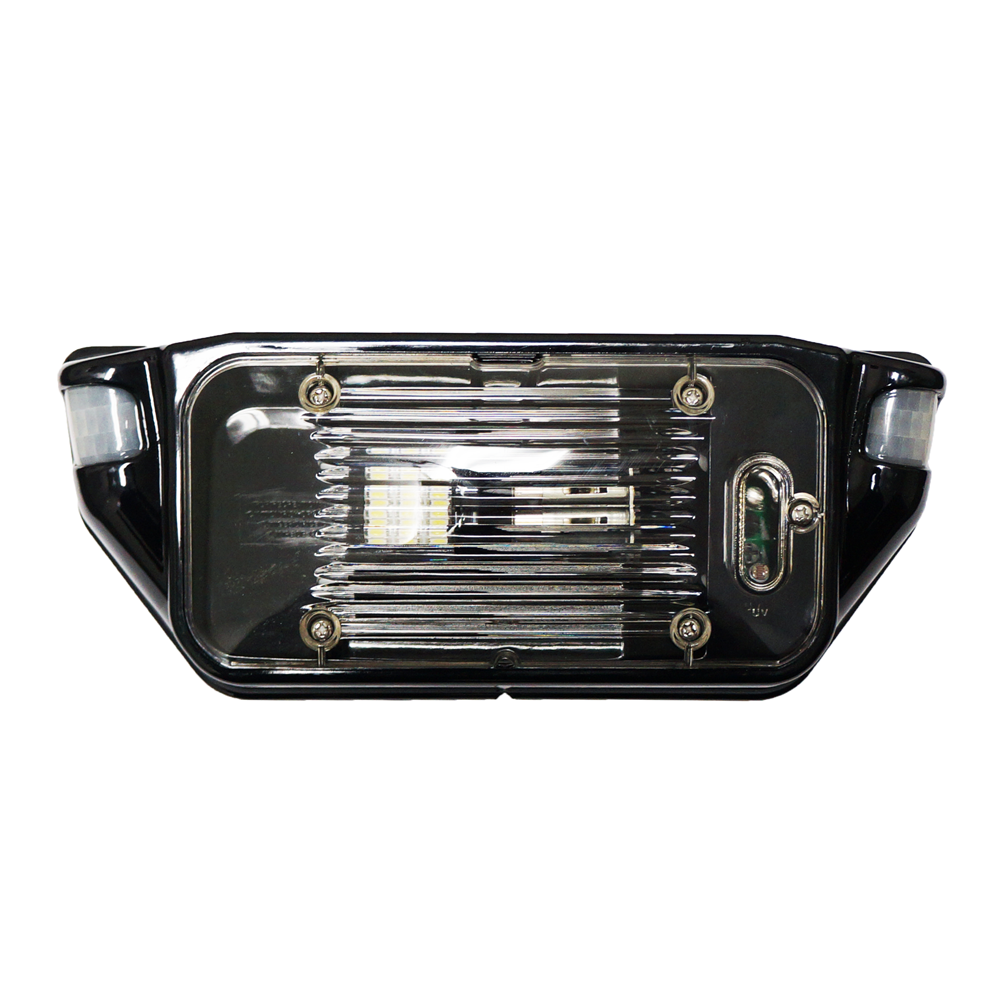 AP Products Porch Light, Starlights ™, Revolution 200 LED Bulb, 12 Volt DC, Black – 016-SL1000B
