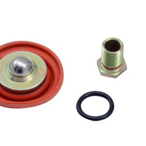 Aem Electron Fuel Pressure Regulator Service Kit, For Aem Part Number 25-300/ 35-301/ 25-303/ 25-304/ 25-302 – 25-392