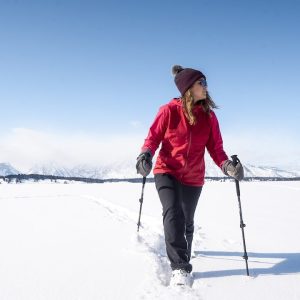 Airhead Walking Poles, Elite, Extends 25-1/2 Inch to 53 Inch, With Wrist Bands, Black, Aluminum – 83-0149