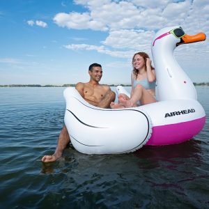 Airhead Float Tube, Cool Swan Inflatable Pool Float, 70 Inch When Deflated, White, PVC, With Dual Molded Handles/ Cup Holder/ Safety Valve – AHPF-3018