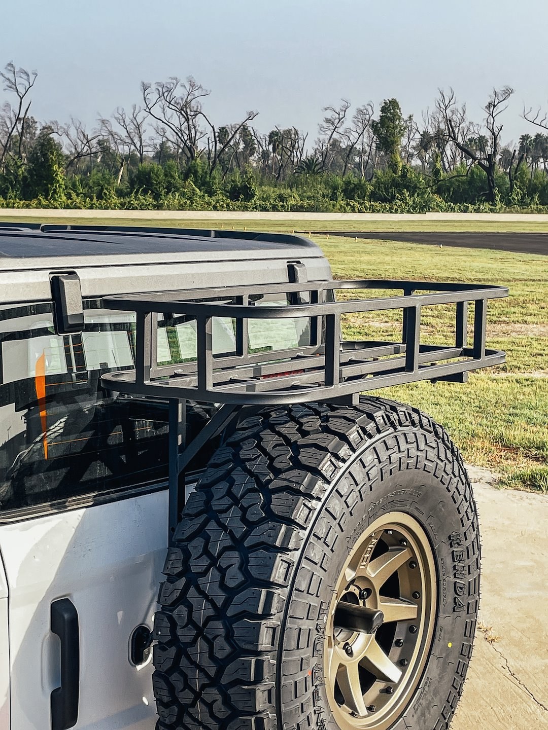 Advanced Acc Cargo Carrier – Spare Tire Mount, 38 Inch X 16 Inch X 6 Inch, Mesh Rack, Bolt-On Installation – 49001525