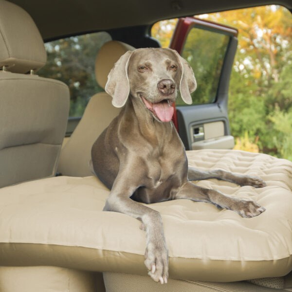 Airbedz Rear Seat Air Mattress, 60 Inch Length X 35-1/2 Inch Width X 17-1/2 Inch Height Inflated, With DC Portable Pump – PPI-TAN_TRKMAT