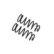 Bilstein Coil Spring, B12 Special, Black, Set of 2 – 36-281824