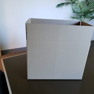 BOX2BUSINESS Packaging Bag, Extra Large Pdi Box – EX LARGE PDI
