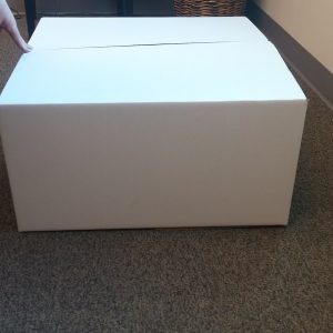 BOX2BUSINESS Packaging Bag, Pdi Box – BB240/240/120/ONI