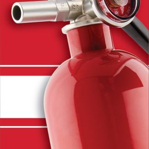 Brk Electron Fire Extinguisher, First Alert ®, Ul Rated 1-A:10-B:C, Monoammonium Phosphate Extinguishing Agent, U S Coast Guard Approved – PRO2-5