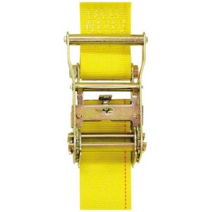 Buyers Products Tie Down Strap, Cargo Tie Down, 2 Inch Wide X 12 Foot Length – 01075