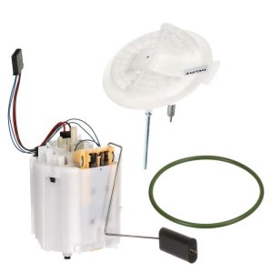 Delphi Fuel Pump Electric, Gasoline, 80 PSI Maximum Pressure, 24 Gph Flow Rate, With Module Assembly Strainer Float Arm Seal – FG1053