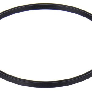 Delphi Fuel Pump Electric, With Module Assembly – PN3145