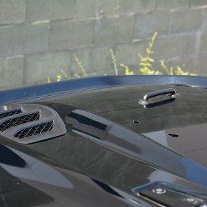 DV8 Offroad Hood, Replica, 10TH Anniversary Edition, Bolt-On, Paintable – HDMB07-TA