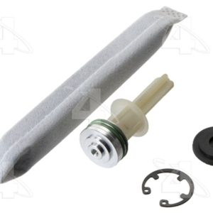 Four Seasons Air Conditioner Compressor, With Filter Drier/ Expansion Device/ Compressor Oil/ Gaskets/ O-Rings – 10438NK