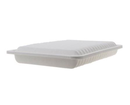 FRAM Air Filter, Extra Guard ® – CA10163