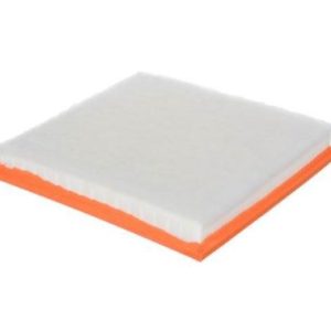 FRAM Air Filter, Extra Guard ® – CA10989