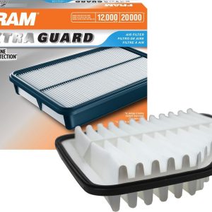 FRAM Air Filter, Rigid Panel – DA9969