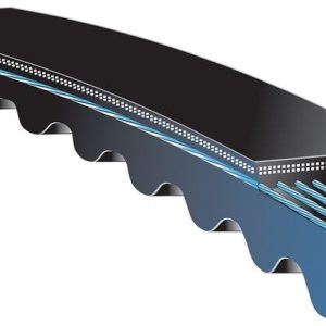 Gates Accessory Drive Belt, Tri Power, V-Belt, 66 Inch Outside Circumference, 0.66 Inch Top Width – BX63