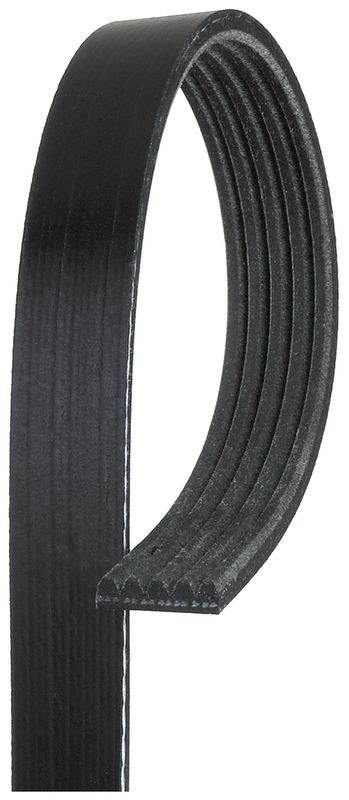 Gates Serpentine Belt, Micro-V ®, 53.56 Inch Outside Circumference, 5 Rib, Epdm, Polyester Cord – K050529
