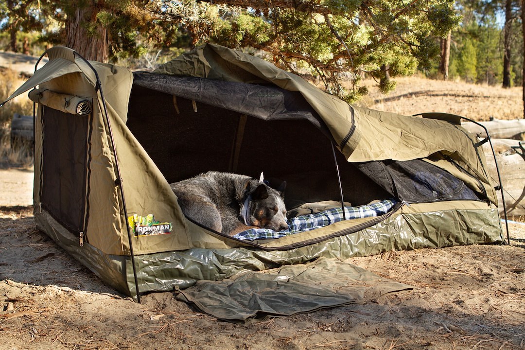 Ironman 4×4 Tent, Swag, For Use on Ground/ Cargo Area/ Truck Bed, 82.7 Inch Length X 53.2 Inch Width X 31.5 Inch Height, Canvas and Mesh – ISWAG002