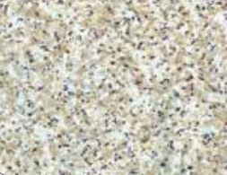 Kittrich Shelf Mat, Grip Prints ™, 12 Inch Width X 5 Feet Length, Beige Granite, Non-Adhesive – 05F-C6P46-06