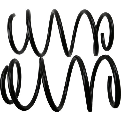 Moog Coil Spring, Set of 2 – 81754