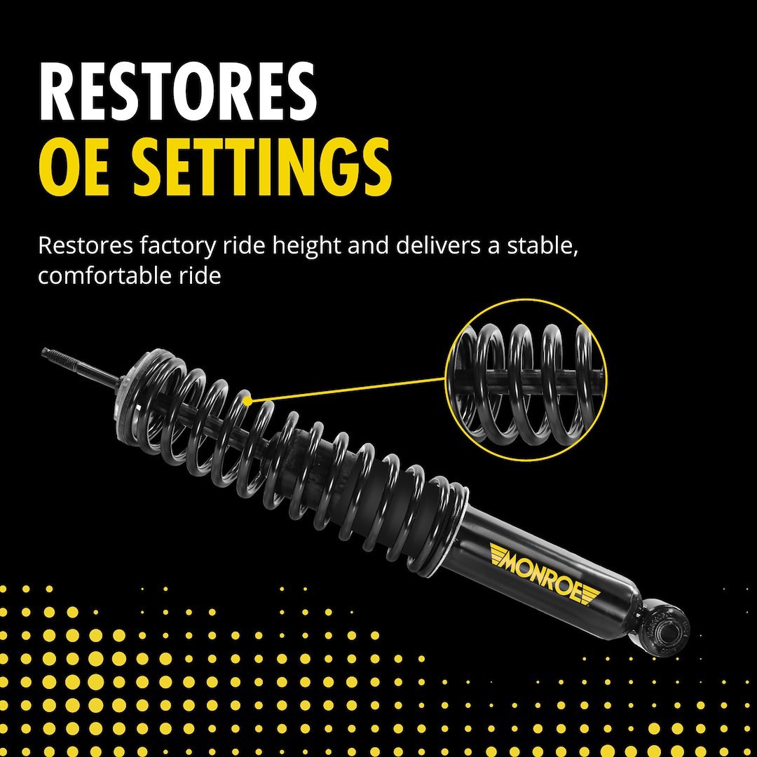 Monroe Air Spring to Coil Spring Conversion Kit – 90028C3