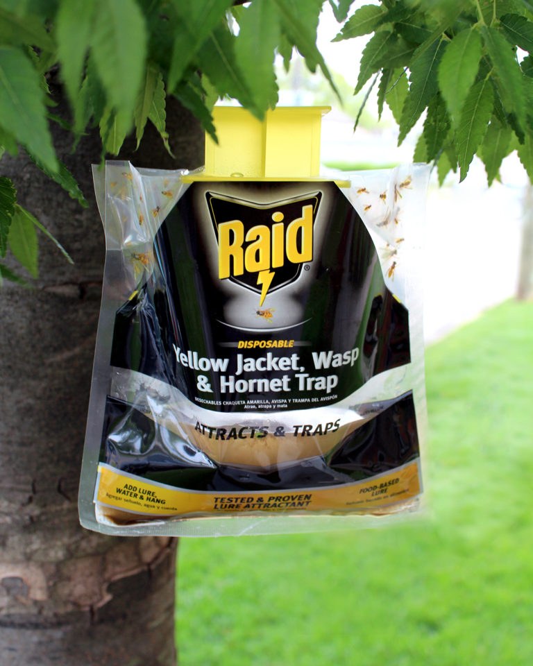 Pic Corp Pest Repellent, Raid ®, Use to Repel Insect, Wasp and Hornet Trap, Disposable Yellow Jacket, Food Based Lure – WASPBAG-RAID