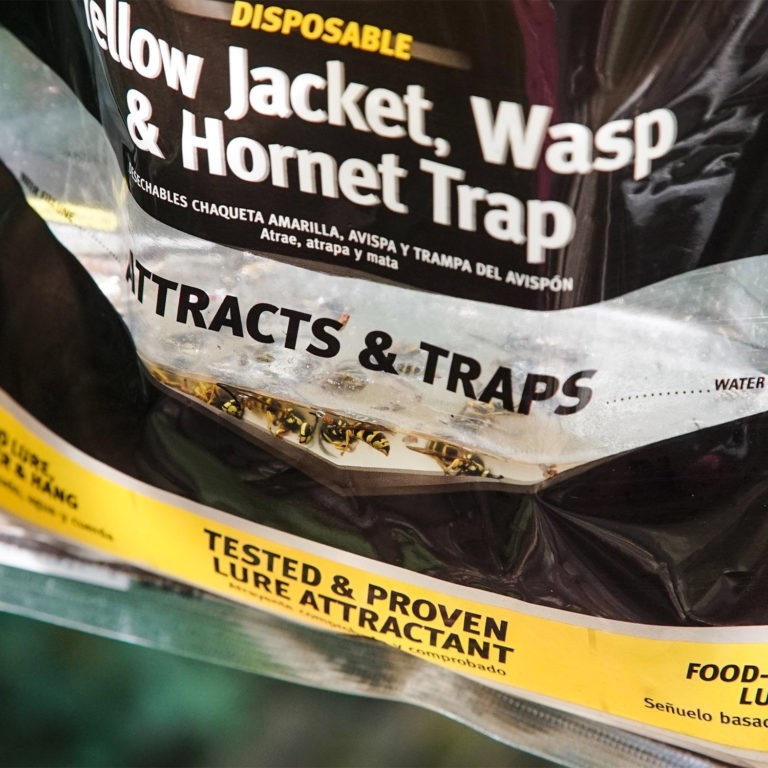 Pic Corp Pest Repellent, Raid ®, Use to Repel Insect, Wasp and Hornet Trap, Disposable Yellow Jacket, Food Based Lure – WASPBAG-RAID