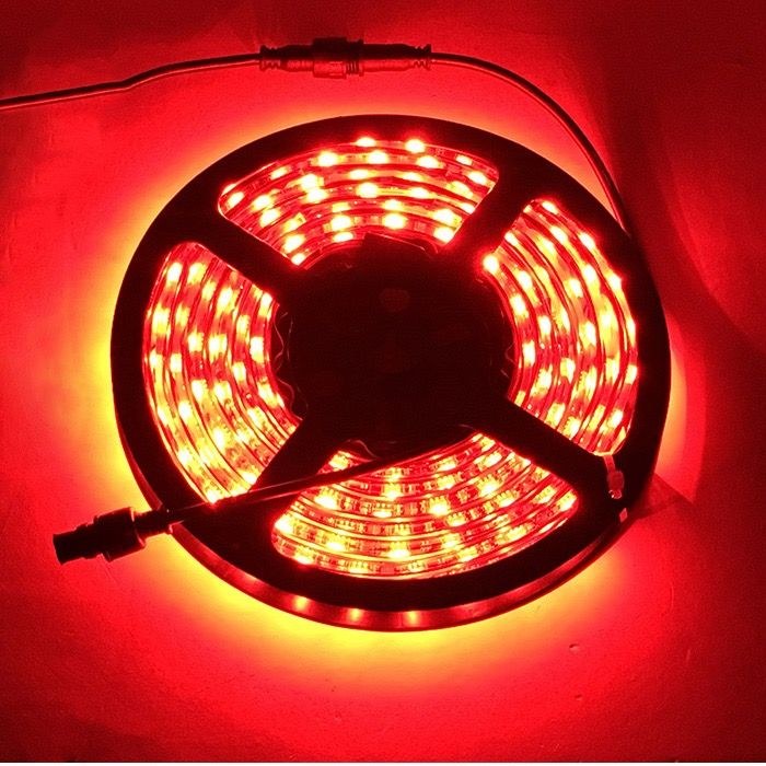 Quake LED Multi Purpose Light – LED, 2 Foot Length, Flexible Light Strip, 12-24 Volt DC, 3M Tape/ Silicon Brackets Mount, Clear Lens – QSL907