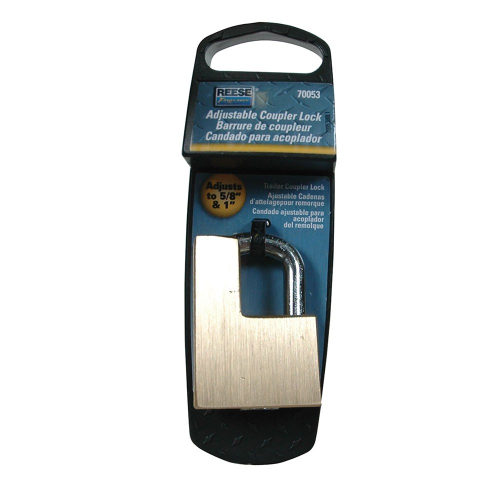 Reese Trailer Coupler Lock, Towpower, Stainless Steel, With 2 Keys – 7005300