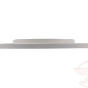 Raybestos Brake Rotor, Specialty – Truck, Solid, Coated, Single – 682613