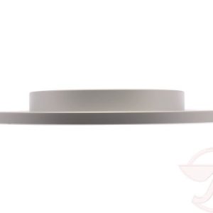 Raybestos Brake Rotor, Specialty – Truck, Solid, Single – 982639