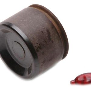 Raybestos Caliper Piston, Phenolic – DP85028