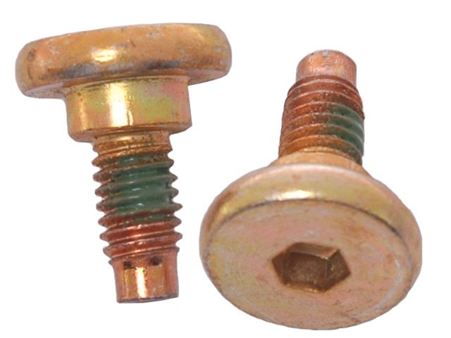 Raybestos Disc Brake Caliper Bolt, Professional Grade, Services 1 Wheel, 0.820 Inch Overall Length – H5019W
