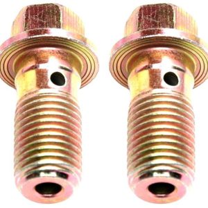 Raybestos Banjo Bolt, R-Line – H5370