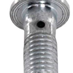 Raybestos Banjo Bolt, R-Line – H5371