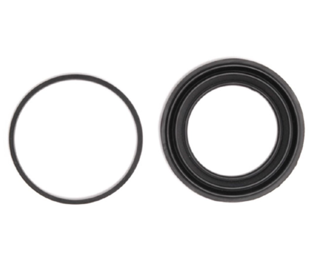 Raybestos Caliper Piston Seal, Professional Grade – WK2005