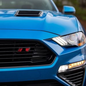 Roush Grille, For Use with Roush Front Fascia, High Gloss Finish, Black, Plastic, With Hardware – 422275