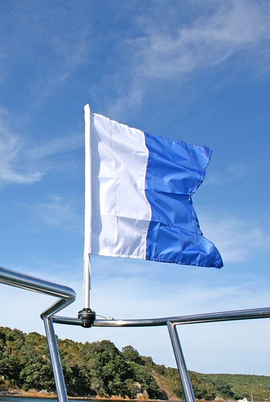 Railblaza Flagpole, 31-1/2 Inch Height, Fixed Height, Anodized Aluminum Pole/ Fiberglass Reinforced Nylon Plastic Base, Holds 1 Flag – 05-0063-01