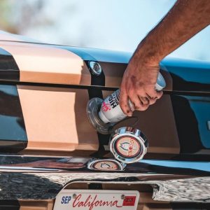 Seafoam Fuel Additive, Fuel System Cleaner, For Gasoline, 16 Ounce Bottle, Single – HM16