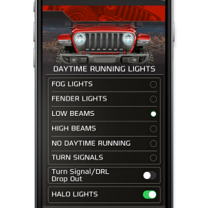 Superchips Speedometer Calibrator, Flashcal+, Speedometer Correction for 26-40 Inch Tires, Reads and Clear Diagnostic Trouble Codes – 3581-JT
