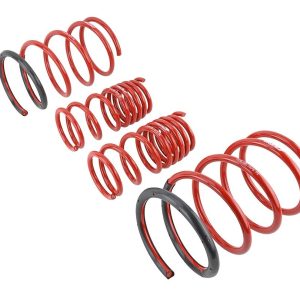 Skunk 2 Lowering Kit, 2-1/4 Inch Front Drop/ 2 Inch Rear Drop, Shocks Not Included – 519-05-1575