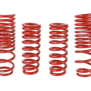 Skunk 2 Lowering Kit, 2-1/4 Inch Front Drop/ 2 Inch Rear Drop, Shocks Not Included – 519-05-1640