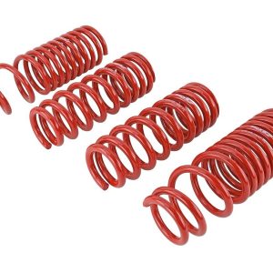 Skunk 2 Lowering Kit, 2-1/4 Inch Front Drop/ 2 Inch Rear Drop, Shocks Not Included – 519-05-1640