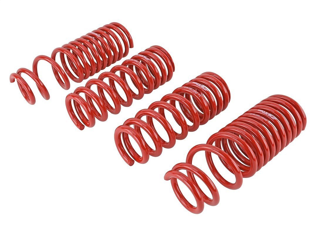 Skunk 2 Lowering Kit, 2-1/4 Inch Front Drop/ 2 Inch Rear Drop, Shocks Not Included – 519-05-1640