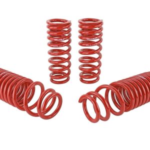 Skunk 2 Lowering Kit, 2-1/4 Inch Front Drop/ 2 Inch Rear Drop, Shocks Not Included – 519-05-1640