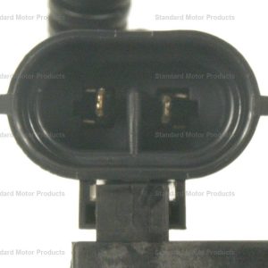Standard Motor Products Air Pump, Black, 2 Blade Terminal, 1-1/4 Inch Hose – AIP12