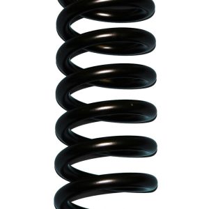 Skyjacker Coil Spring, 4 Inch Lift, Powder Coated, Black, Set of 2 – 174