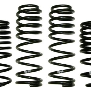 Skyjacker Lowering Kit, Lowjacker, 2 Inch Drop, Black, Shocks Not Included, 4 Coil Springs – LOWJK024